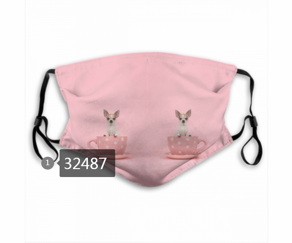 2020 #30 Dust mask with filter